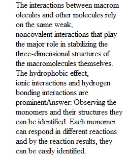 BIO121_Class Activity_BiologicalMacromolecules(1)